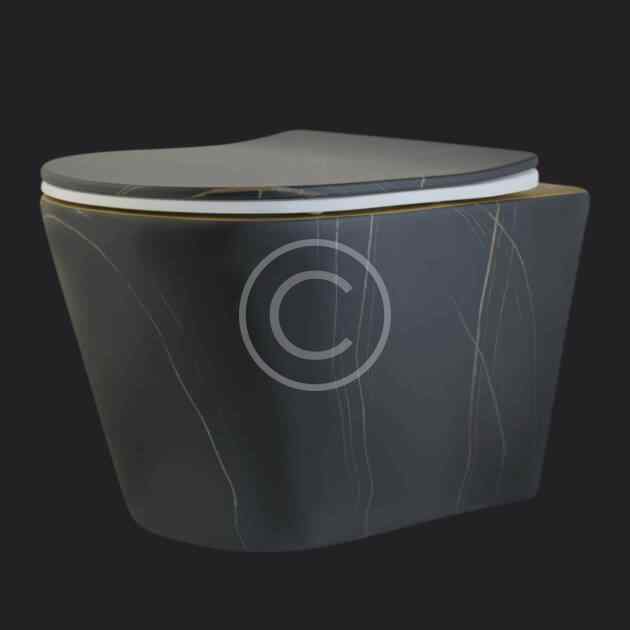 Wall hung toilet